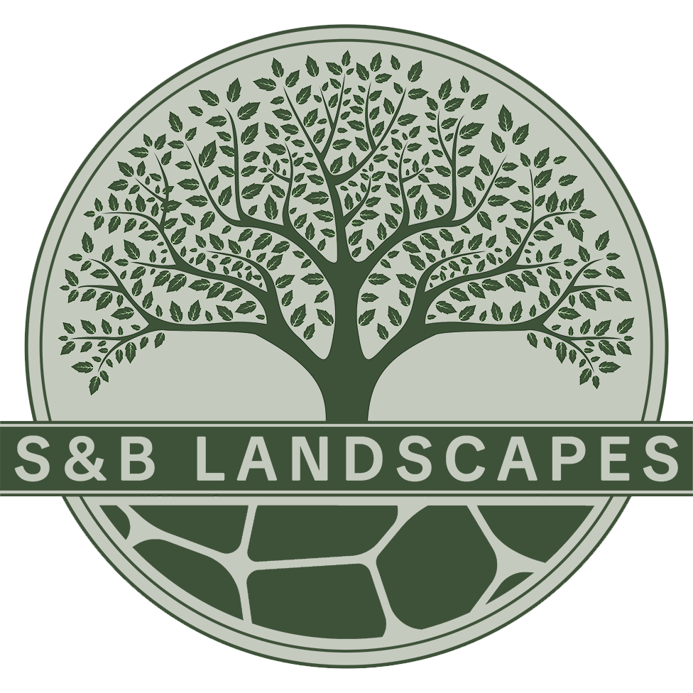 SB-logo-final-bg